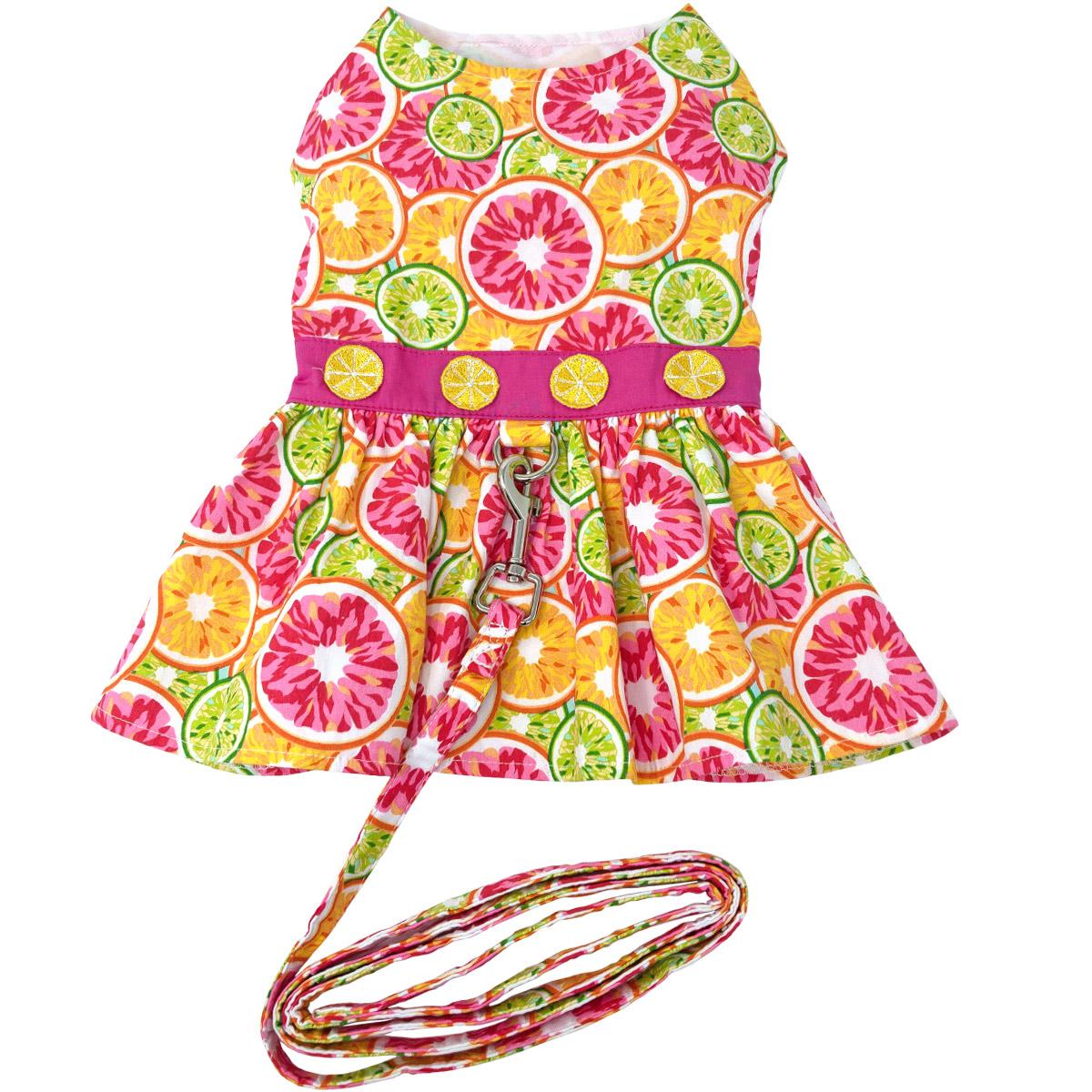 citrus-slice-dog-dress-with-matching-leash-3661