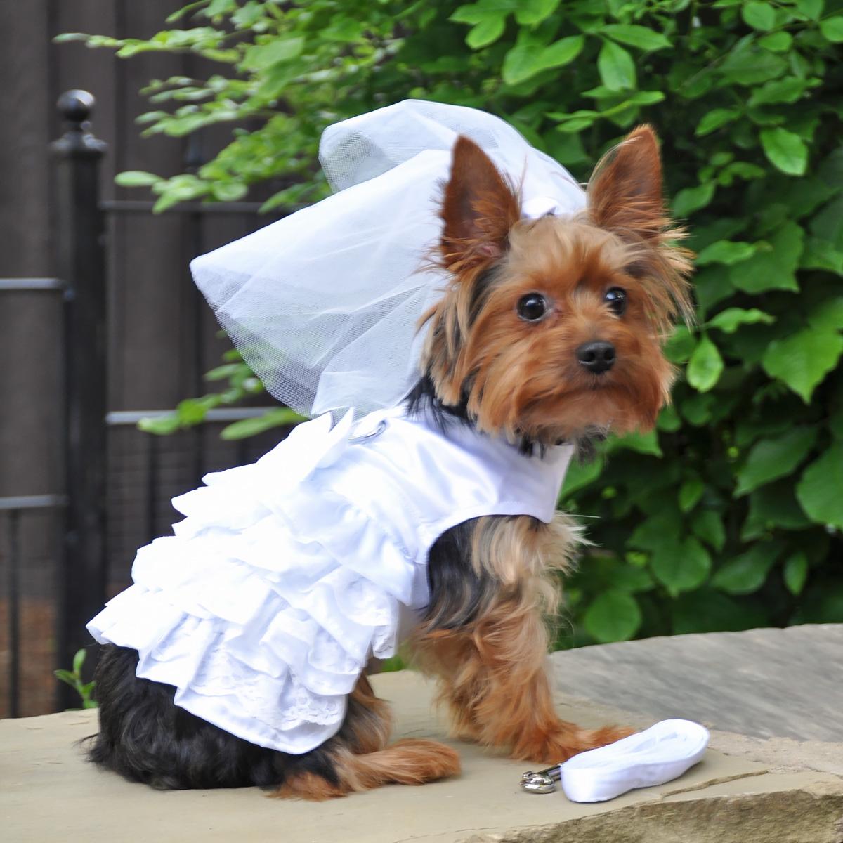 dog-harness-wedding-dress-with-veil-matching-leash-5185